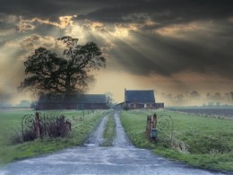 De beproeving van de Digitale Agenda 2020