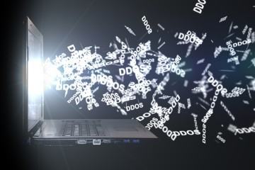 Activistische groep legt websites overheden plat met DDoS-aanval