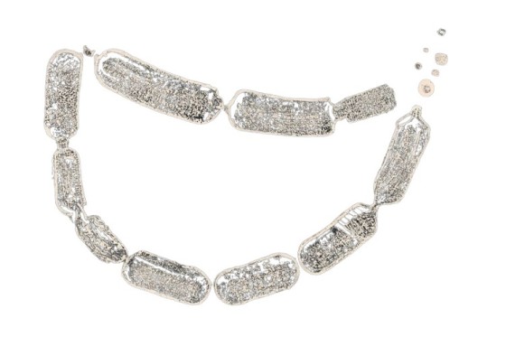 De kok die zegt: 'Neem de worst maar niet'