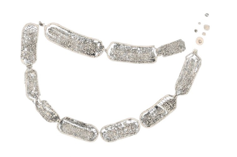 De kok die zegt: 'Neem de worst maar niet'