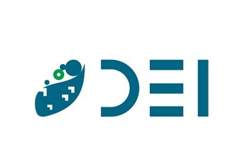 Digital Ecosystems Institute